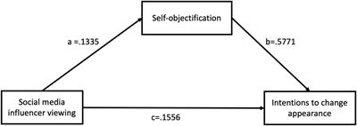 Social Media Influencer Viewing and Intentions to Change Appearance: A Large Scale Cross-Sectional Survey on Female Social Media Users in China